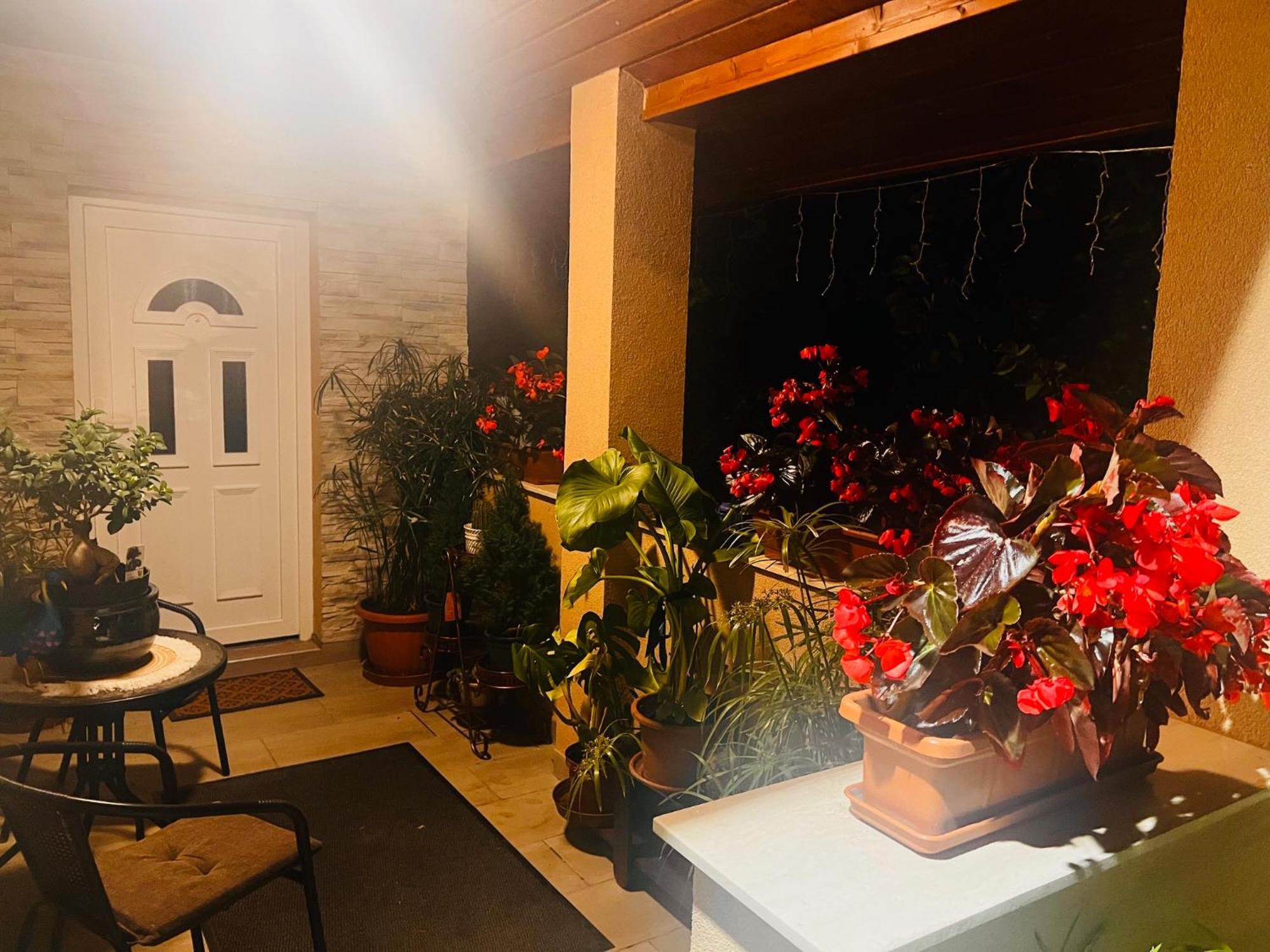 Arany Vendeghaz Vila Szarvas Exterior foto
