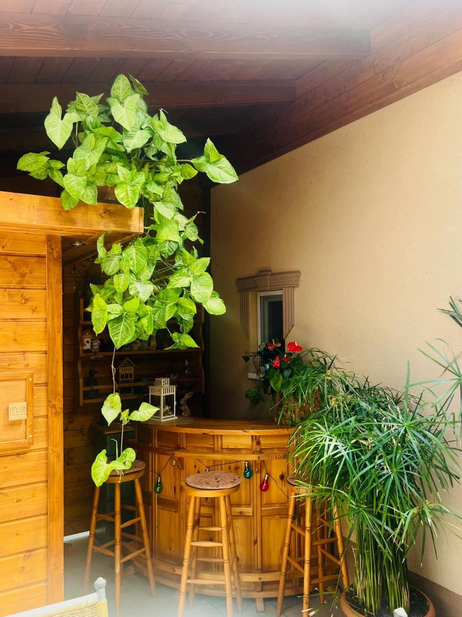 Arany Vendeghaz Vila Szarvas Exterior foto
